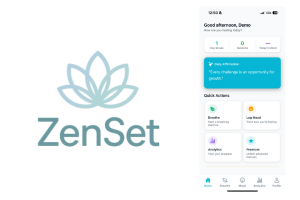 ZenSet Screenshot
